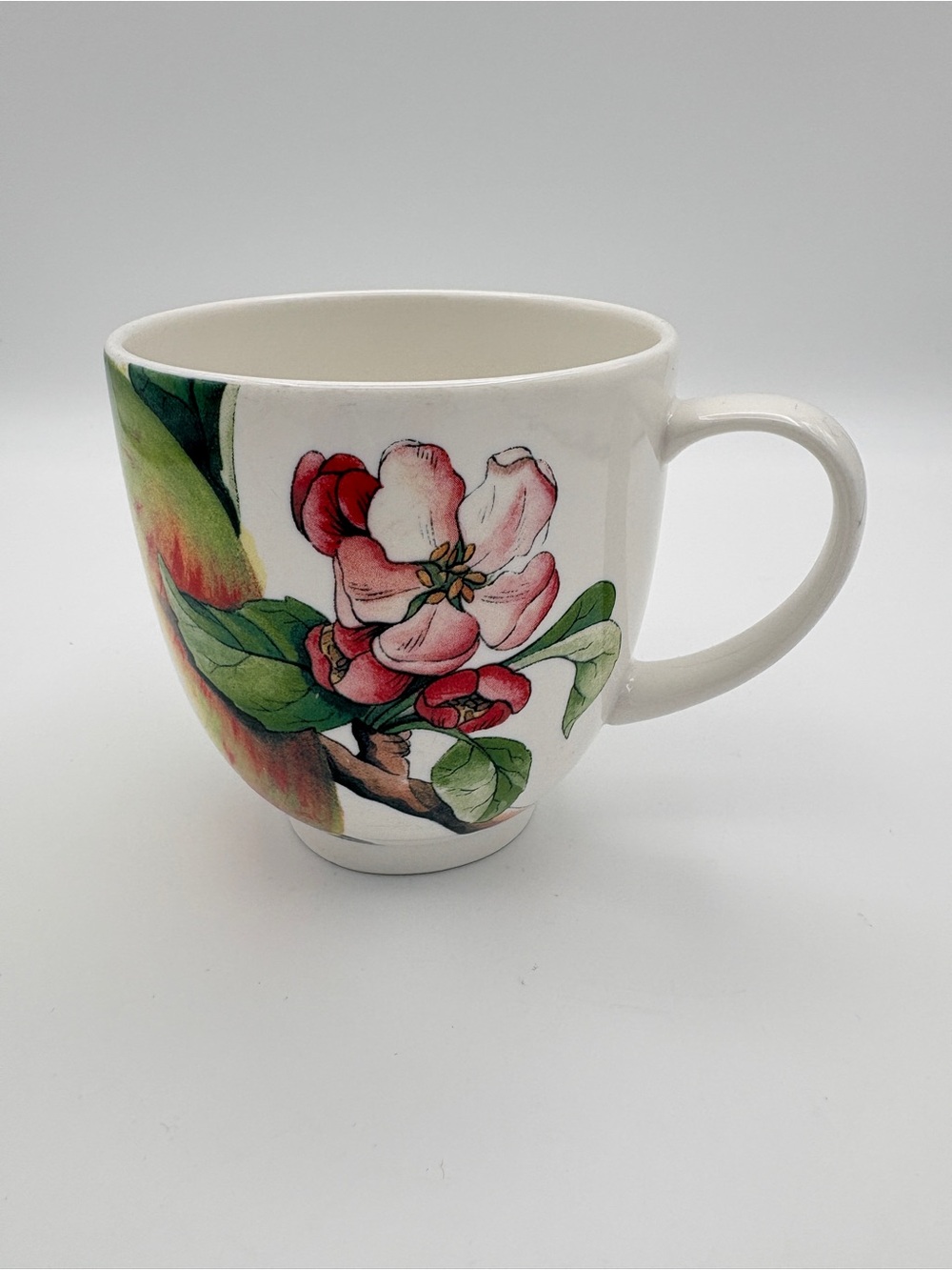 Portmeirion Eden Fruits Green Apple/Apple Blossom Mug (Discontinued)